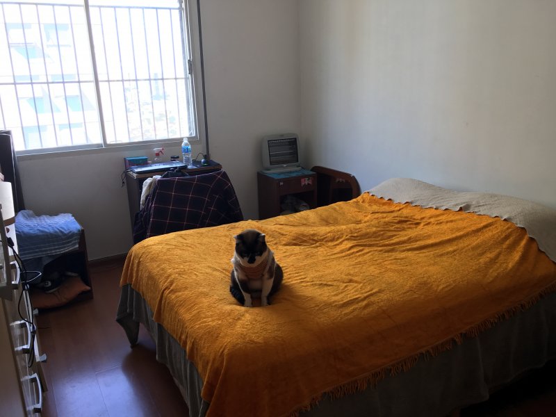 Apartamento à venda Mirandópolis com 96m² e 4 quartos por R$ 650.000 - 2043409680-bb5978c3-f872-4473-8e0b-0f44b02035af.jpeg