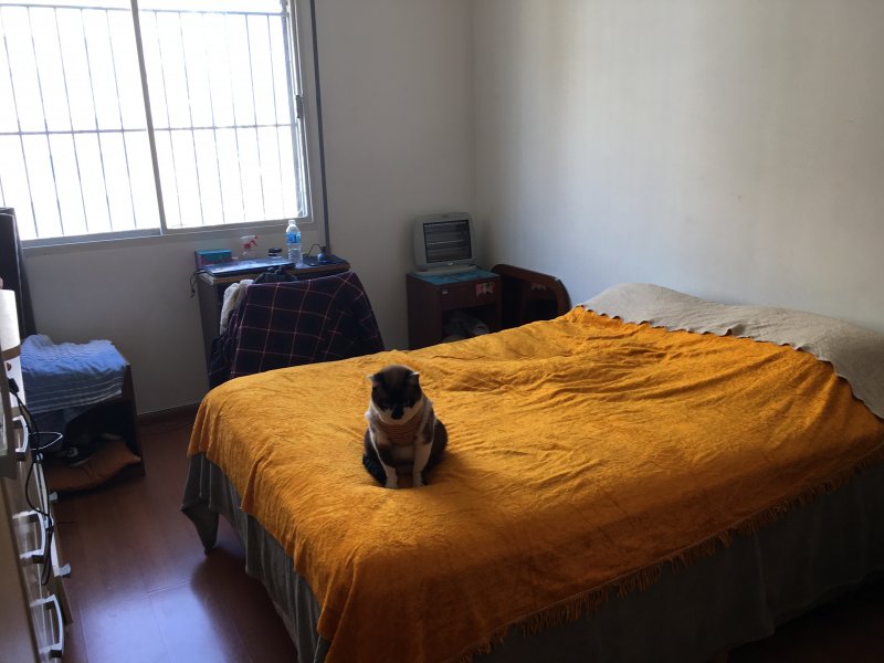 Apartamento à venda Mirandópolis com 96m² e 4 quartos por R$ 650.000 - 59706705-f39a386d-0bef-4da3-abac-30aecf439dd0.jpeg