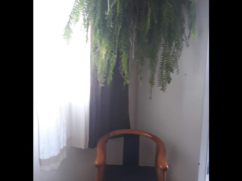 Apartamento à venda Jardim Adriana com 49m² e 2 quartos por R$ 220.000 - 1144032481-ddfdb9dc-78b9-43a4-bc3e-badbc50797e3.jpg