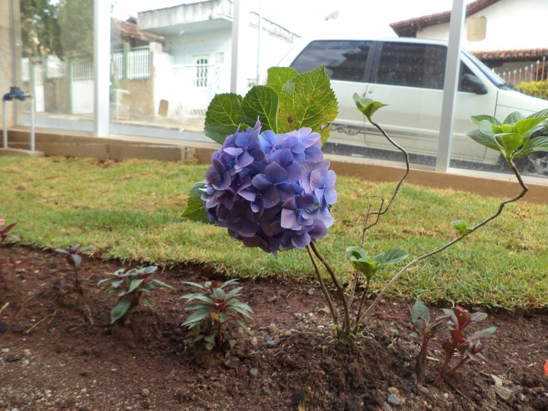 Apartamento à venda Milionários com 72m² e 3 quartos por R$ 345.000 - 728585350-dsc01974.JPG