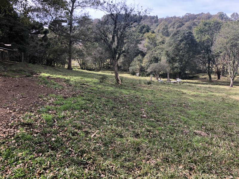 Terreno à venda Brandalise com 10000m² e  quartos por R$ 800.000 - 183849346-2.JPG