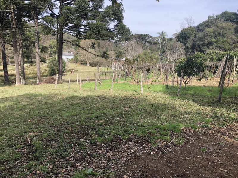 Terreno à venda Brandalise com 10000m² e  quartos por R$ 800.000 - 78109941-1.JPG