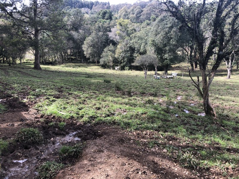 Terreno à venda Brandalise com 10000m² e  quartos por R$ 800.000 - 886011348-3.JPG