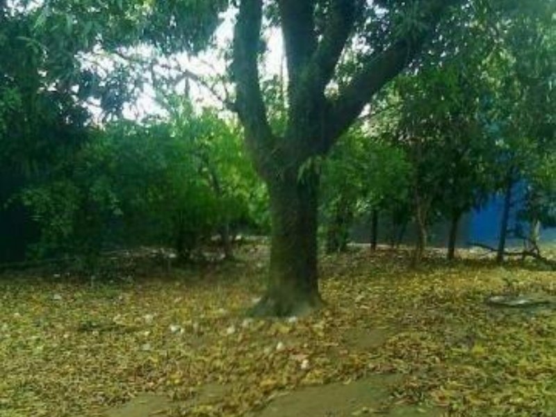 Casa à venda ATAIDE com 645m² e 6 quartos por R$ 1.350.000 - 1198366080-20190804-191559.jpg