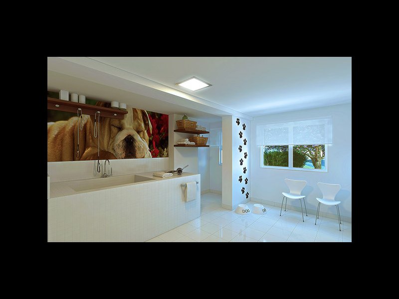 Apartamento à venda Centro com 48m² e 2 quartos por R$ 17.000 - 443940651-espaco-dog.jpg
