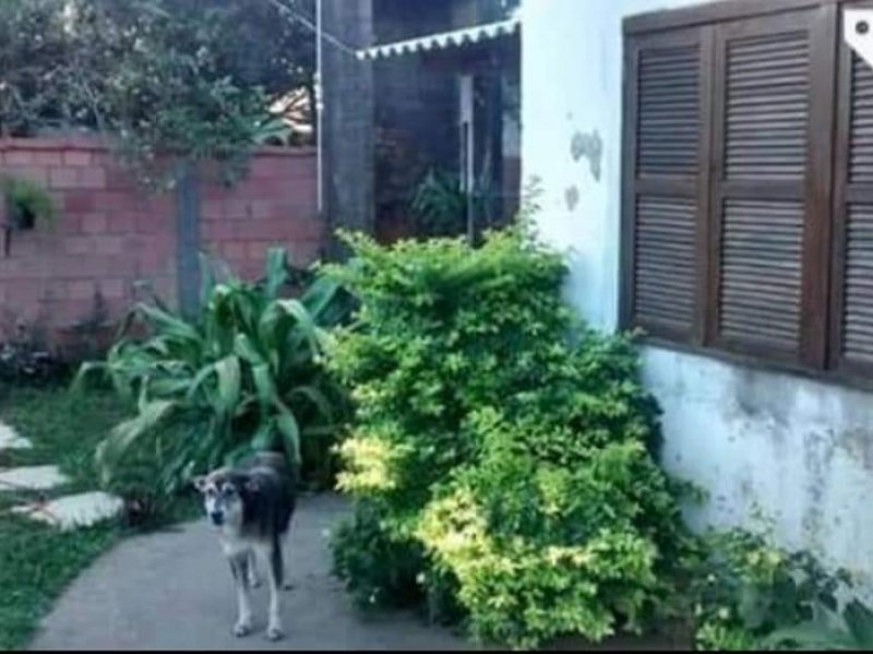 Casa à venda Aparecida com 52m² e 2 quartos por R$ 90.000 - 135296482-fb-img-1567955128293.jpg