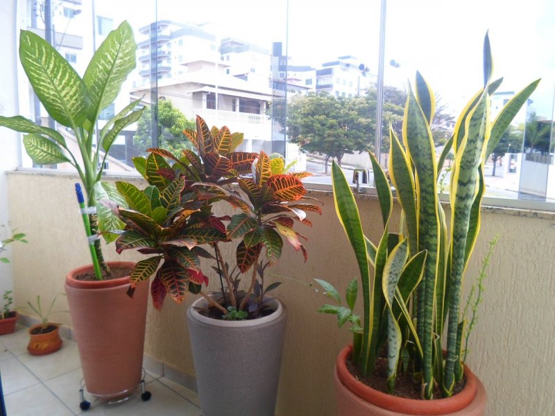 imóvel com 110m² - Diamante - Belo Horizonte