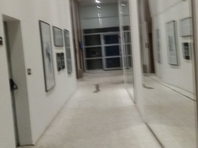 imóvel com 48m² - Gonzaga - Santos