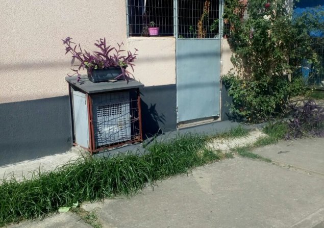 imóvel com 60m²