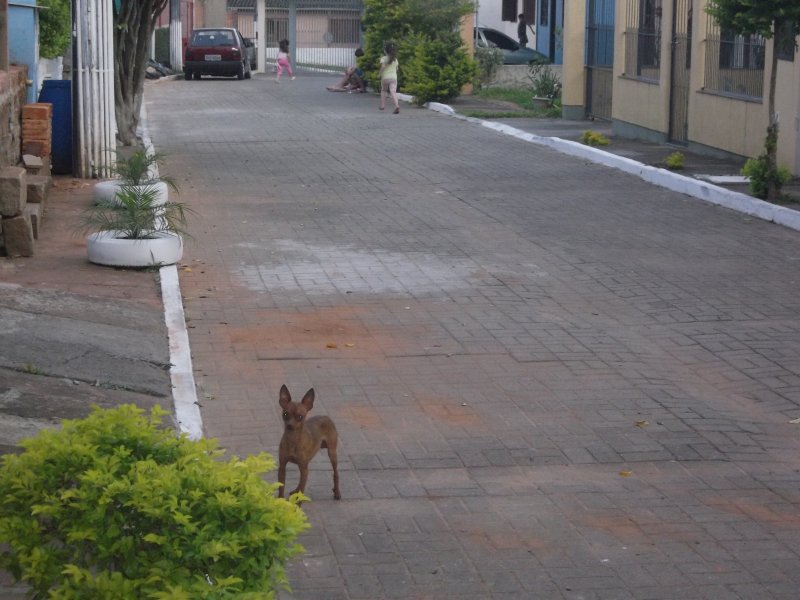 Casa de condomínio à venda Neópolis com 82m² e 2 quartos por R$ 140.000 - 211281153-dscf6134.JPG