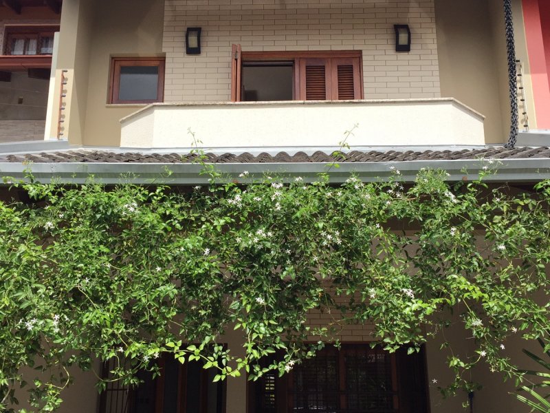 Casa à venda Centro Histórico com 162m² e 3 quartos por R$ 595.000 - 1212357229-img-8645.JPG