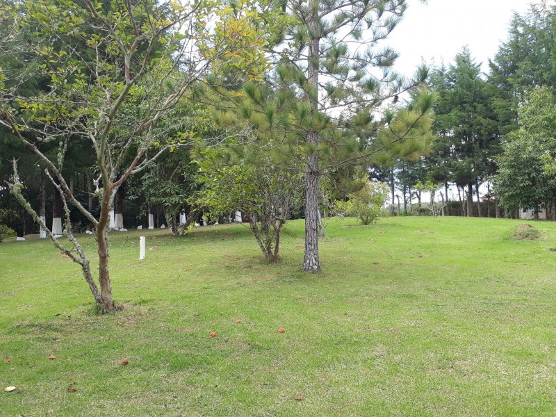 Sítio à venda centro com 24000m² e 3 quartos por R$ 850.000 - 320413212-sitio003.jpg
