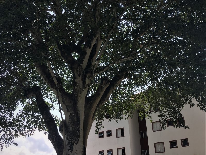 imóvel com 81m² - Centro - Ubatuba