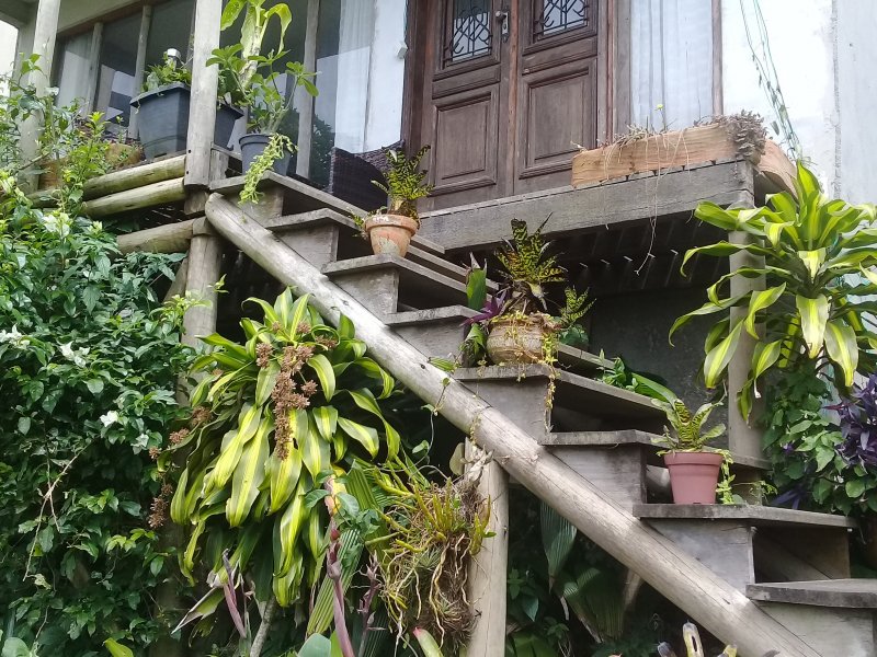 Casa à venda Jardim Pero com 100m² e 2 quartos por R$ 270.000 - 381578752-20181125-105635.jpg