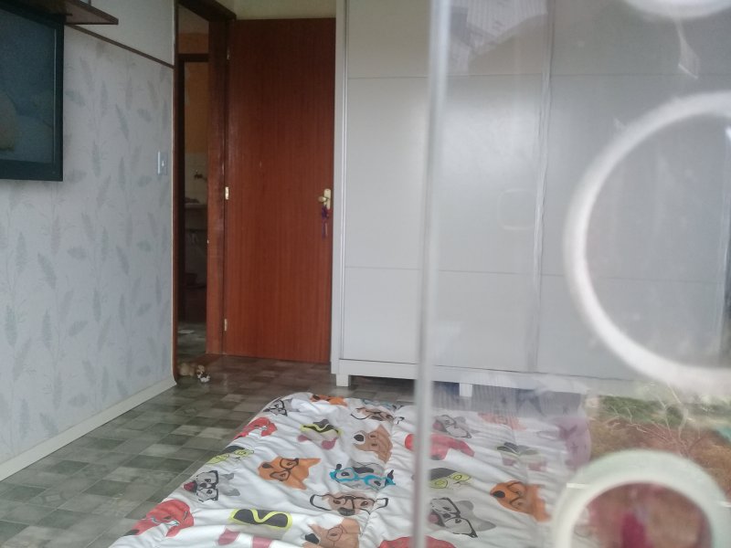 Casa à venda Jardim Pero com 100m² e 2 quartos por R$ 270.000 - 67818434-20181125-103157.jpg