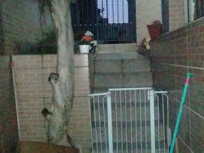 Casa à venda Vila Dom Pedro II com 196m² e 2 quartos por R$ 420.000 - 685438591-img-20190902-wa0022.jpeg