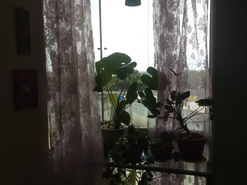 Apartamento à venda Vl. Cosmos com 64m² e 3 quartos por R$ 255.000 - 139626703-52808df7-54b3-49cb-8afe-837b7f884495.jpg