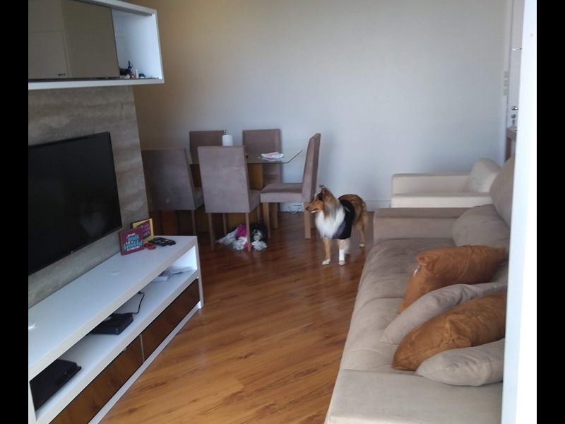 Apartamento à venda Jardim Prudência com 66m² e 2 quartos por R$ 430.000 - 480208812-72747306-532994197476737-6216417415190806528-n.jpg