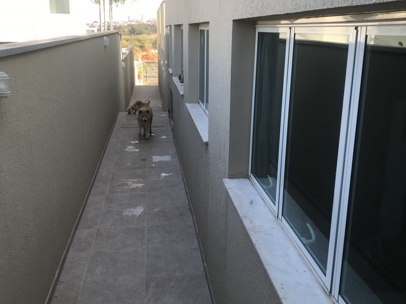 imóvel com 257m² - Swiss Park - Campinas