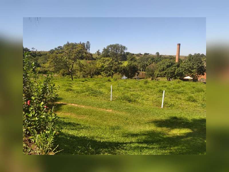 Chácara à venda Centro com 22400m² e 5 quartos por R$ 1.000.000 - pastagem.jpg