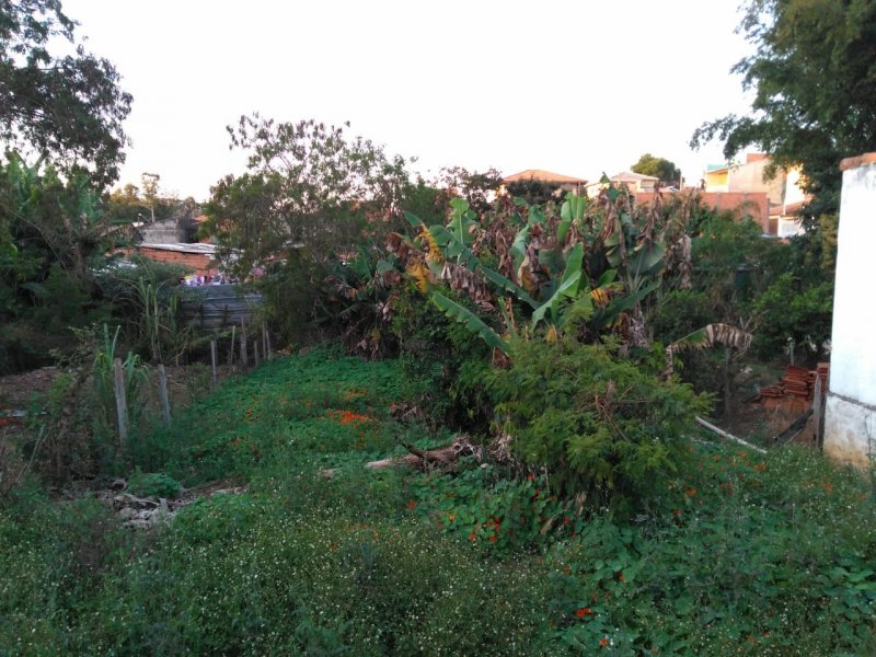 Casa à venda Vila Olho D'Agua com 50m² e 1 quarto por R$ 90.000 - 96638505-whatsapp-image-2019-08-19-at-16.jpeg