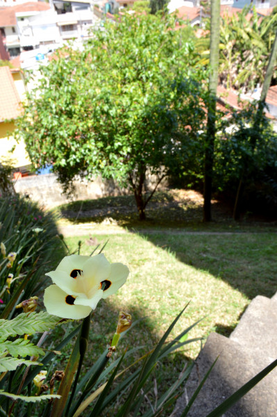 Casa à venda Vila Albertina com 500m² e 5 quartos por R$ 1.500.000 - 643101045-dsc-0136.JPG