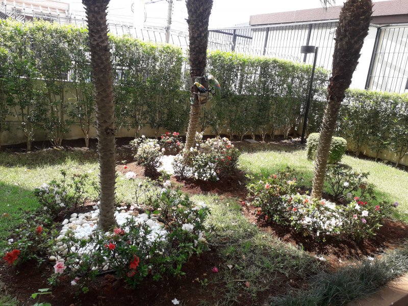 Apartamento à venda Vila Antonieta com 70m² e 3 quartos por R$ 300.000 - 176298834-20190924-120826.jpg