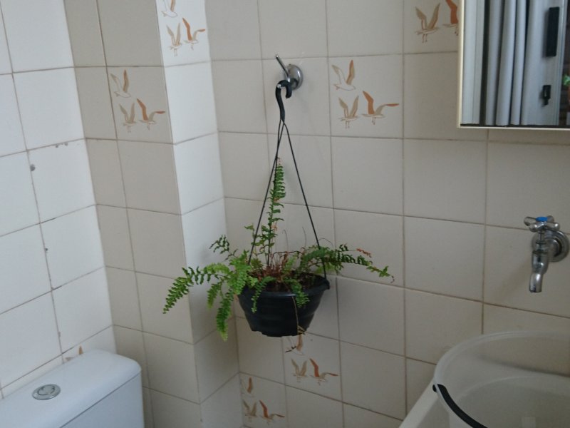 Apartamento à venda Floresta com 88m² e 3 quartos por R$ 290.000 - 854599830-dsc-0859.JPG