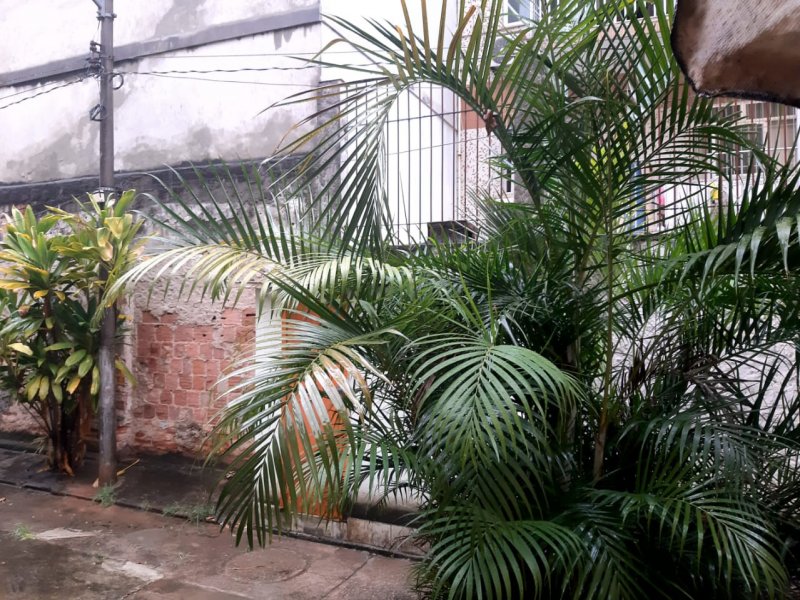 Apartamento à venda Irajá com 48m² e 2 quartos por R$ 280.000 - 484748989-whatsapp-image-2021-11-04-at-17.jpeg