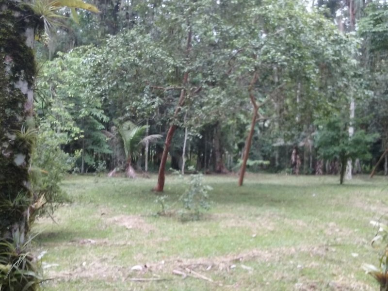 imóvel com 42507m² - Centro - Morretes