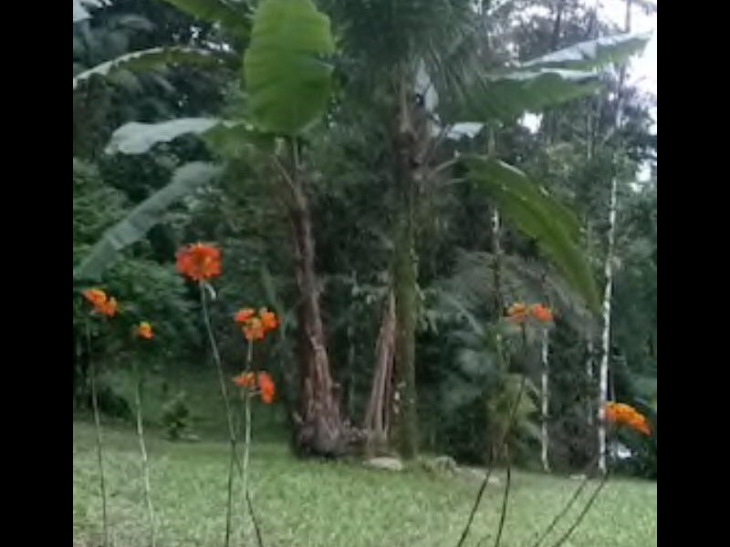 imóvel com 200m² - Praia de Camburi - São Sebastião