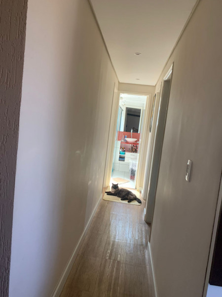 Apartamento à venda Ponte Preta com 60m² e 3 quartos por R$ 289.000 - 401126037-bcb5fa4d-a6df-4160-a642-4f3fd016222e.jpeg