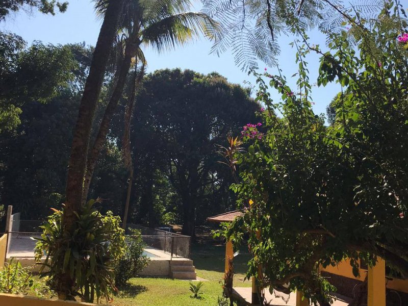 Sítio à venda Jardim Esperanca com 6000m² e 4 quartos por R$ 300.000 - 192292306-67921334-2240862402698092-6673630526529601536-o.jpg