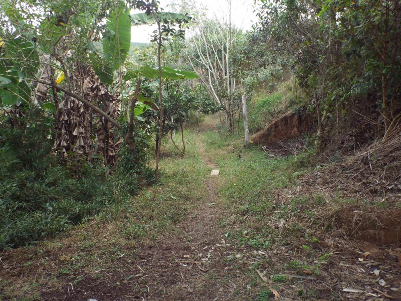 Sítio à venda Vila Pontilhão com 20m² e 2 quartos por R$ 350.000 - 23437349-dscf2504.JPG