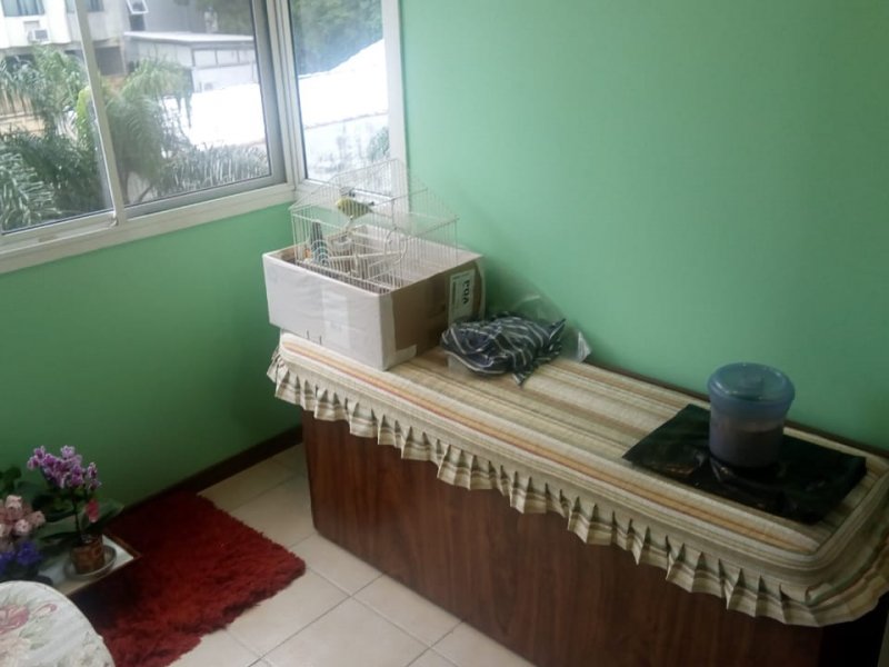 Apartamento à venda Floresta com 68m² e 2 quartos por R$ 549.000 - 1437485085-whatsapp-image-2019-10-01-at-10.jpeg
