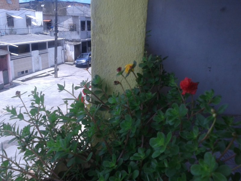 Casa à venda Ilha Amarela com 133m² e 2 quartos por R$ 160.000 - 1608097163-img-20190210-105917.jpg