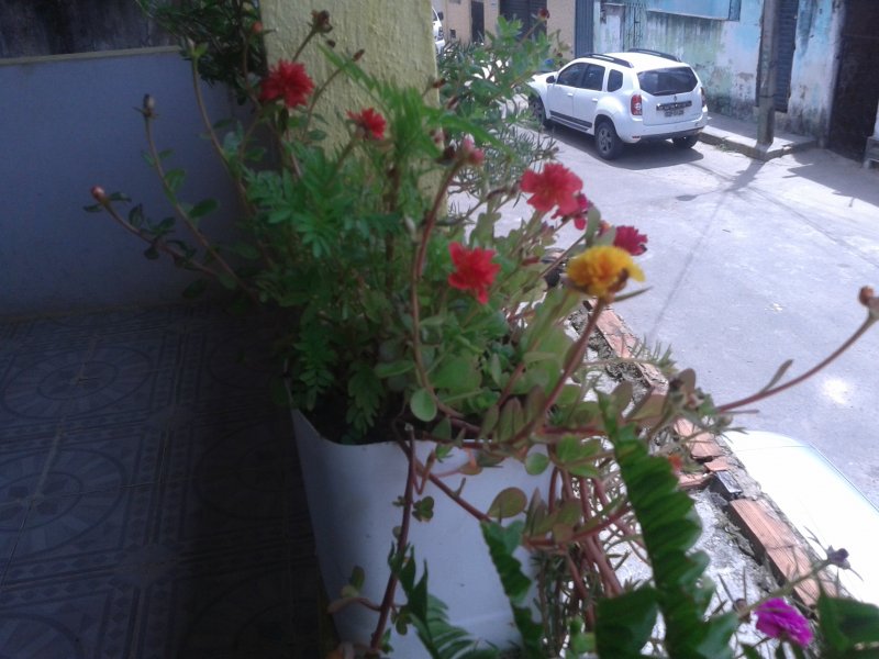 Casa à venda Ilha Amarela com 133m² e 2 quartos por R$ 160.000 - 662867380-img-20190210-105902.jpg
