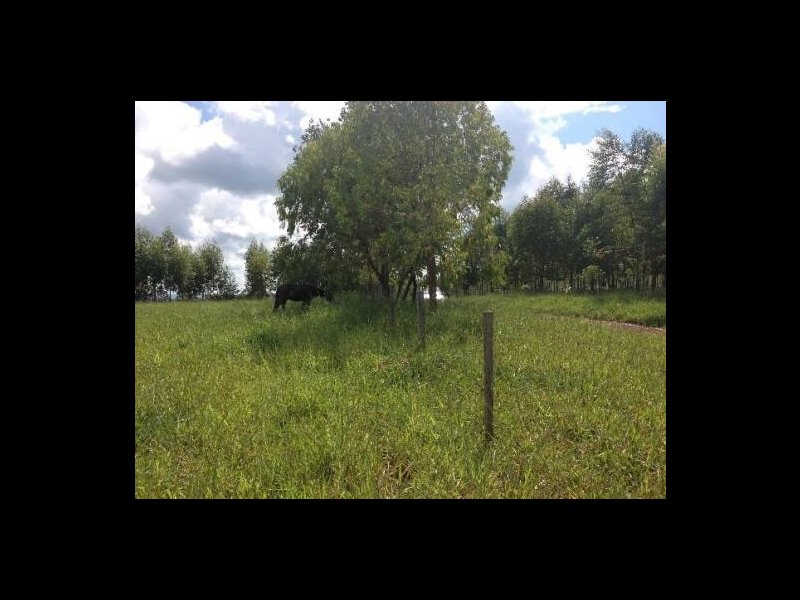 Sítio à venda Centro com 100000m² e 1 quarto por R$ 300.000 - 1589855777-0191d388-a191-40d8-a9e9-ae85fa25b90d.jpeg