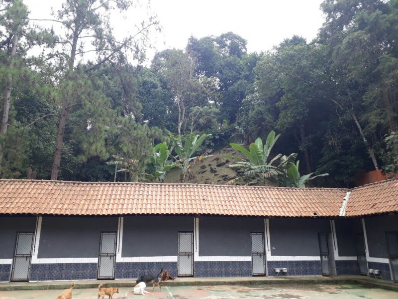 Casa à venda Chácaras São Cristóvão com 600m² e 4 quartos por R$ 1.600.000 - 132396296-7cff7cd7-f312-43fa-8e0a-ecbebbae6560.JPG
