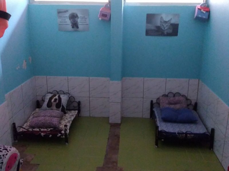 Casa à venda Chácaras São Cristóvão com 600m² e 4 quartos por R$ 1.600.000 - 1790809537-f30c5e8f-830b-49b7-9d1f-1484ee6987d8.JPG