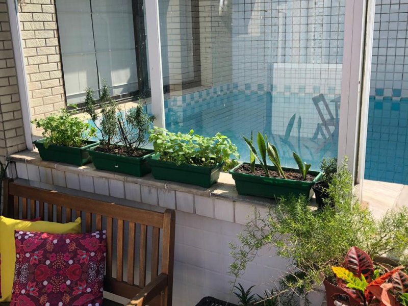 Cobertura à venda Boqueirão com 135m² e 3 quartos por R$ 1.200.000 - 2059853782-2b72bb2e-4ea5-4548-86b4-912d4e9e572b.jpeg