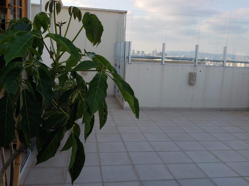 Cobertura à venda Vila Monumento com 145m² e 3 quartos por R$ 1.149.000 - 771589964-received-2255458971208065.jpeg