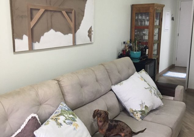 imóvel com 60m²
