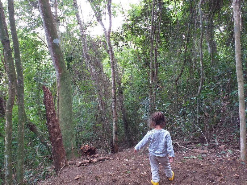 Terreno à venda Vila Progresso com 254772m² e 1 quarto por R$ 400.000 - 913841369-img-20190803-140833-960.jpg