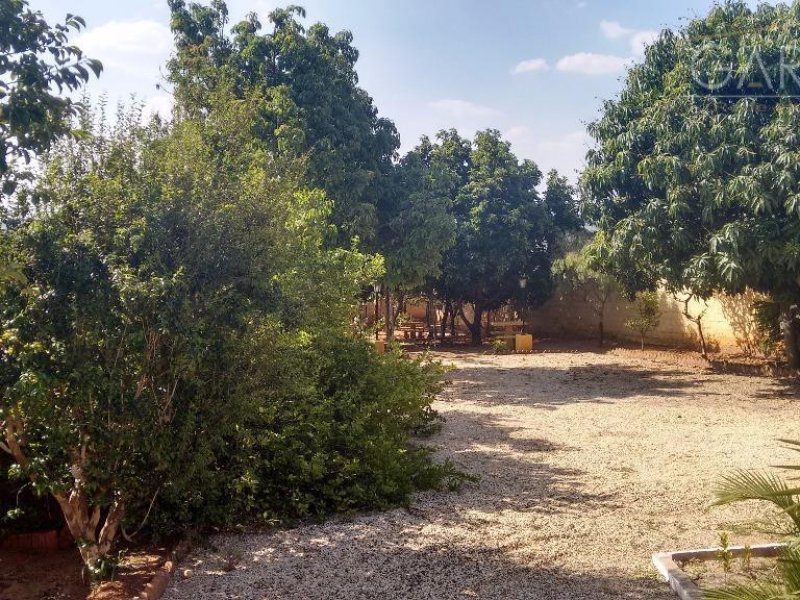 Chácara à venda Recanto Campestre Internacional de Viracopos Gleba 4 com 250m² e 1 quarto por R$ 500.000 - 2025894917-f.jpg