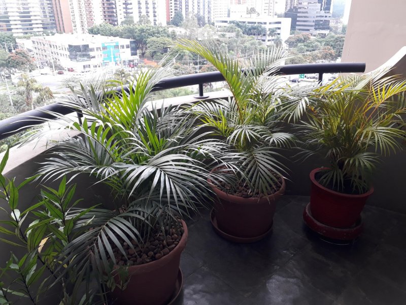 Flat à venda Alphaville com 55m² e 1 quarto por R$ 299.000 - 1547231096-20190513-102255.jpg