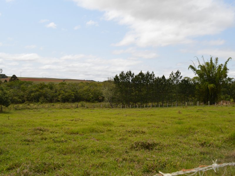 Chácara à venda cercado com 12m² e 3 quartos por R$ 550.000 - 1126493981-dsc-6605.JPG