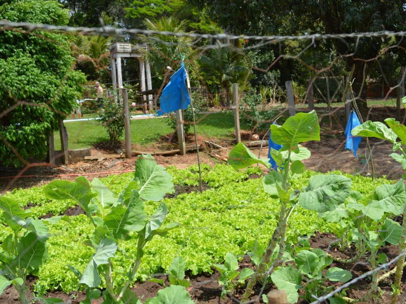 Chácara à venda cercado com 12m² e 3 quartos por R$ 550.000 - 1514902831-dsc-6640.JPG