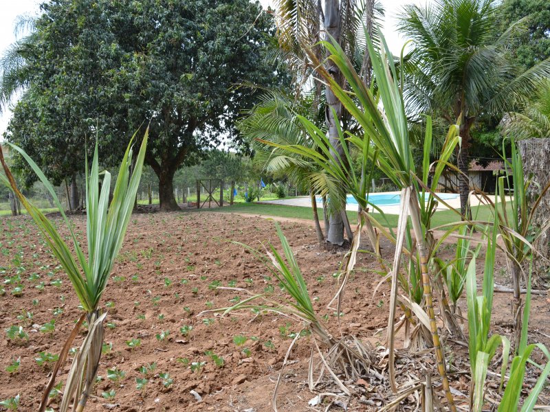Chácara à venda cercado com 12m² e 3 quartos por R$ 550.000 - 1770903261-dsc-6604.JPG