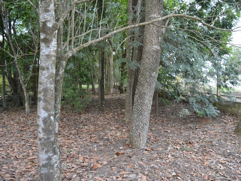 Chácara à venda cercado com 12m² e 3 quartos por R$ 550.000 - 366800246-dsc-6615.JPG